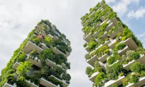 construcción bioclimática