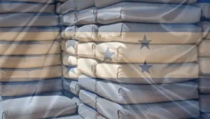 Cuál es el mejor cemento en Honduras